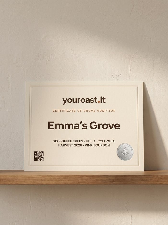The YouRoast.It adoption certificate on a wooden shelf
